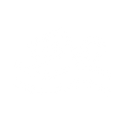 White icon representing swimmers first